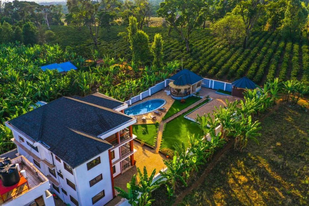 Dual Mountain View Lodge モシ エクステリア 写真