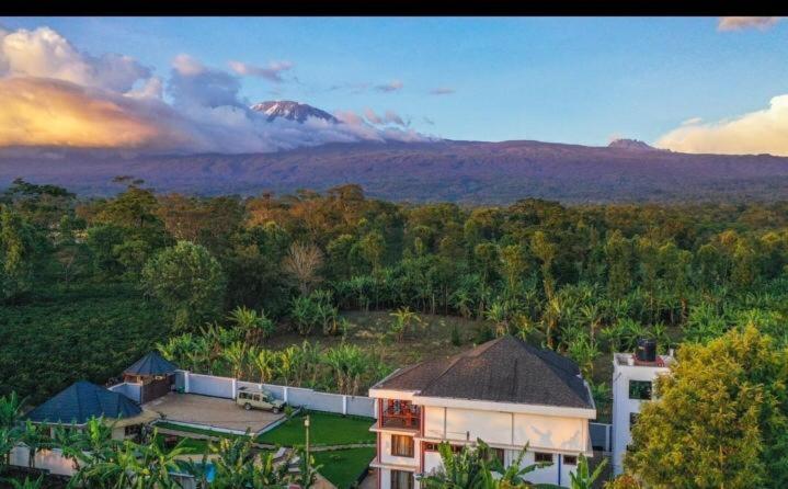 Dual Mountain View Lodge モシ エクステリア 写真